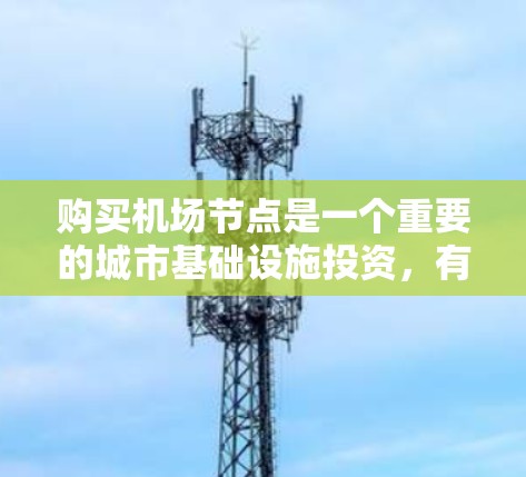购买机场节点是一个重要的城市基础设施投资，有助于提升城市的交通效率和城市化程度。以下是一些详细的步骤和考虑因素，帮助您更好地理解和操作购买机场节点的流程