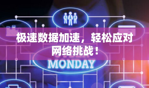 极速数据加速，轻松应对网络挑战！