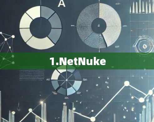 1.NetNuke 1.NetNuke