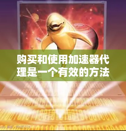购买和使用加速器代理是一个有效的方法来提高网络访问速度，以下是详细的步骤指南