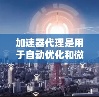 加速器代理是用于自动优化和微调模型参数的技术，帮助提高模型在加速器上的性能。以下是对加速器代理参数配置的详细总结