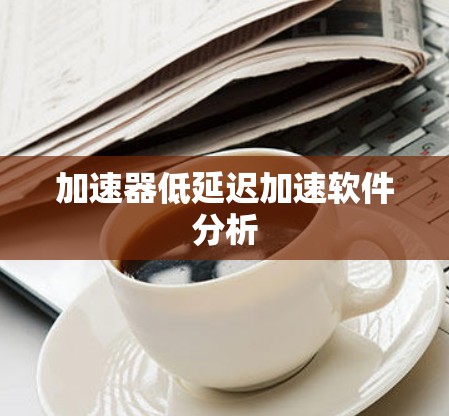 加速器低延迟加速软件分析
