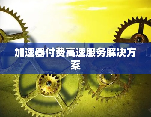 加速器付费高速服务解决方案