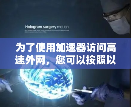 为了使用加速器访问高速外网，您可以按照以下步骤进行