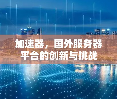 加速器,国外服务器平台的创新与挑战