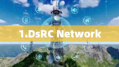 1.DsRC Network