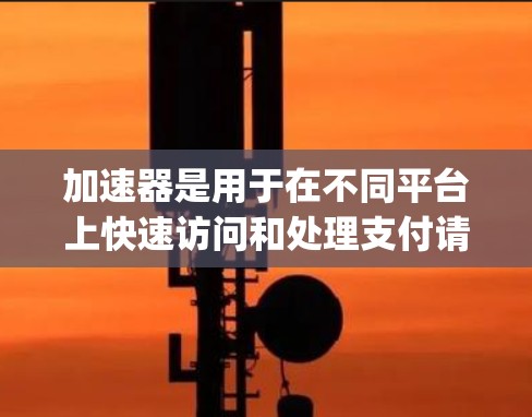 加速器是用于在不同平台上快速访问和处理支付请求的工具。如果你指的是某个特定的加速器，例如PayPal或支付宝等支付平台的API，我可以提供一些通用的使用方法或解决步骤