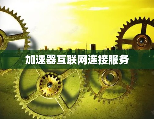 加速器互联网连接服务