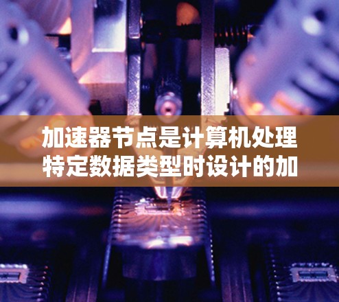 加速器节点是计算机处理特定数据类型时设计的加速器，旨在提升这些数据类型的处理速度。以下是关于加速器节点的详细分析
