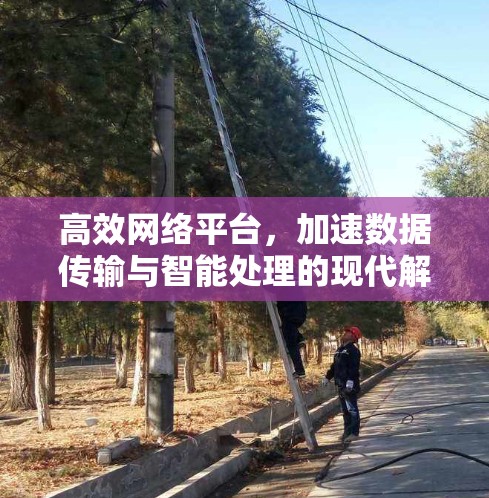高效网络平台,加速数据传输与智能处理的现代解决方案 高效网络平台,加速数据传输与智能处理的现代解决方案